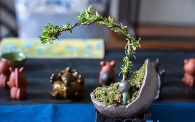 Zhang Xixian,the month of two 745 shan wife,Believed