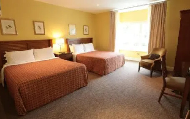 hotelImage