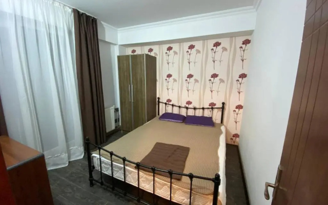 Mgzavrebi Bakuriani. Apartment #202