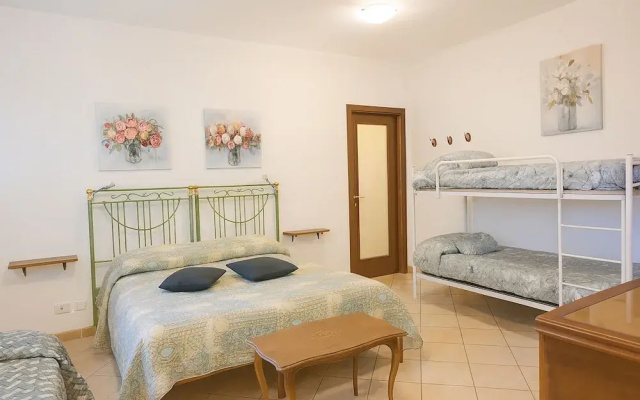 Artisti del Cavallo Tourism