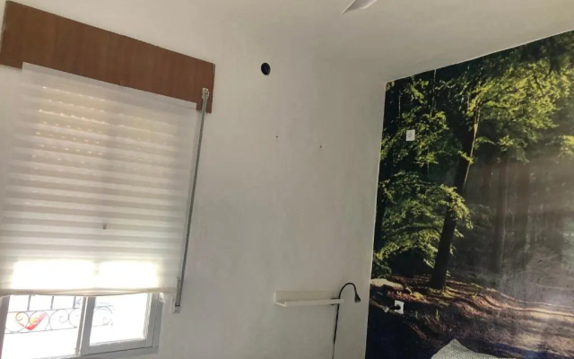 Hostel Backpackers La Gaditana