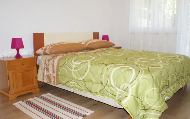 Apartments Rudy
