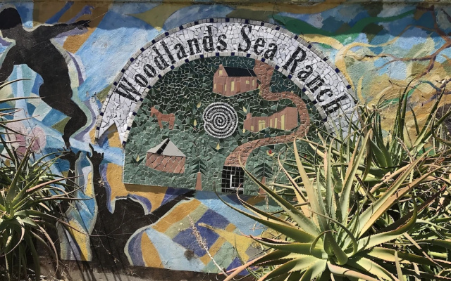 Woodlands Sea Ranch