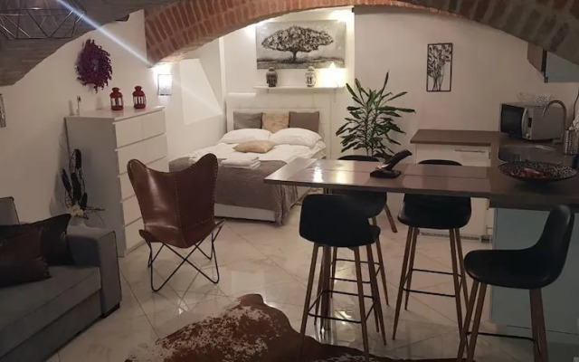 Studio Apartment La Bodega