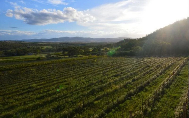 Sancerre Estate