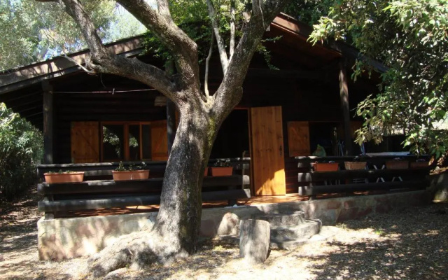 Serena Holiday Home