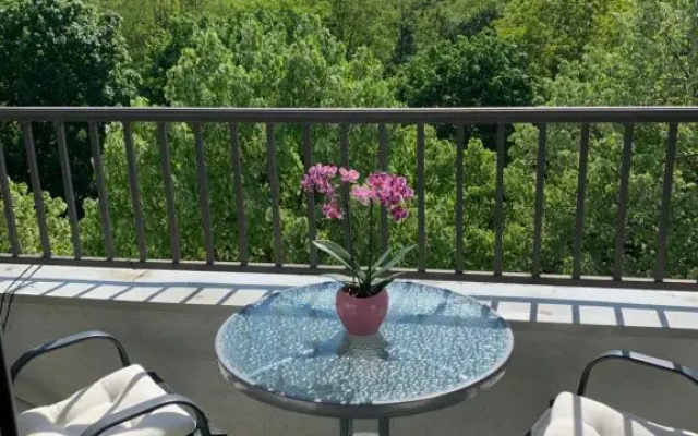 Sunkissed apartment