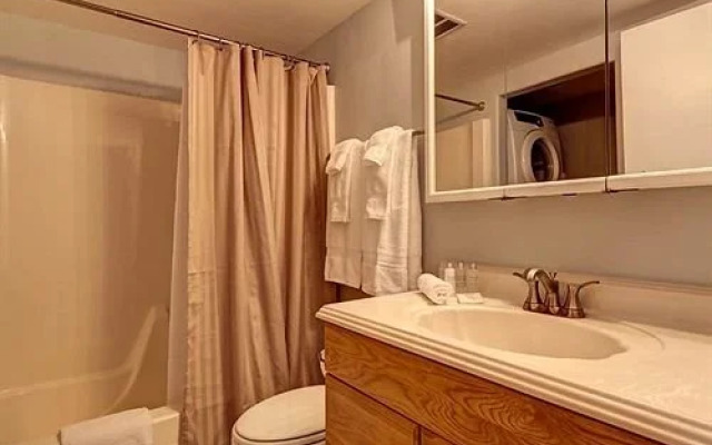 Five Star Properties Silverthorne