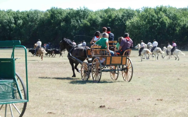 La Nanou'che (roulotte en Camargue)