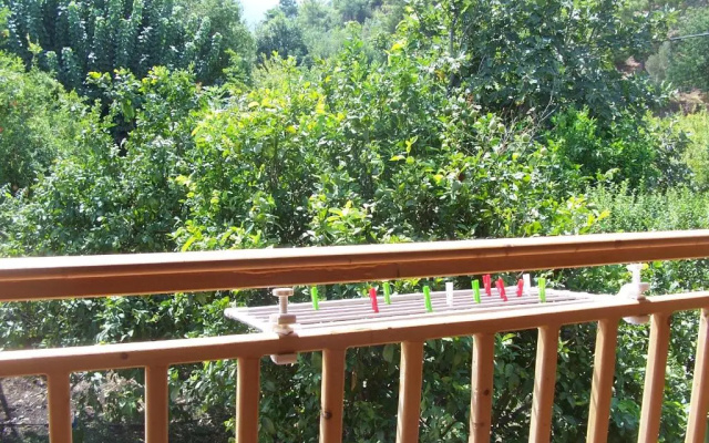 Naz Apartlari Cirali