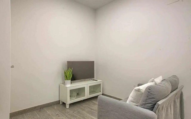 RiNa MADRID apartamento 2