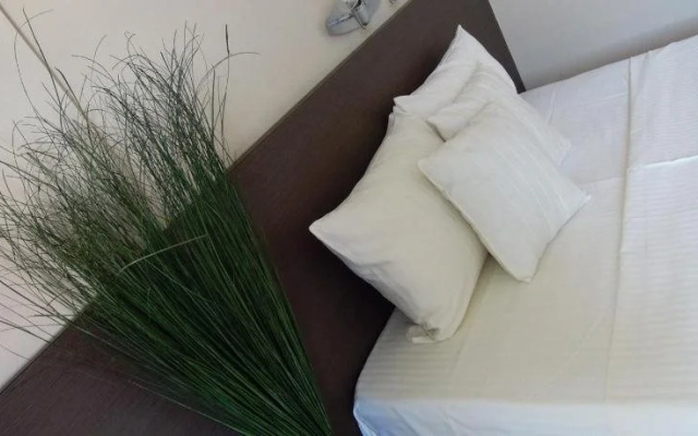 Guest Accommodation Konstantin 2008