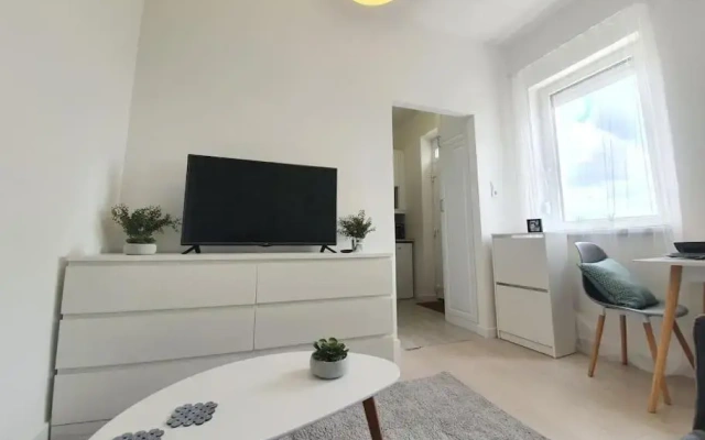 Master apartment with rooftop terrace