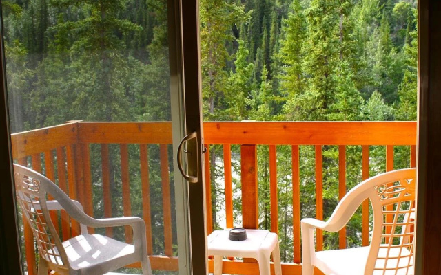 Denali Grizzly Bear Resort