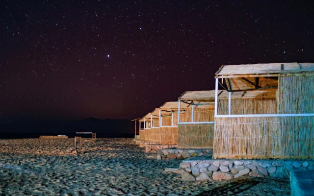 Spicy Beach Camp