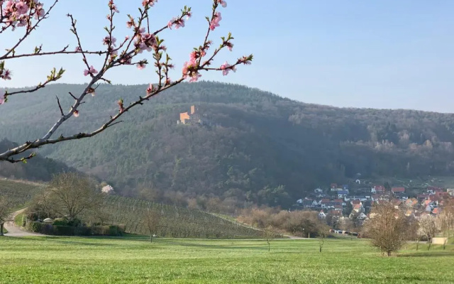 Villa Mandelblüte