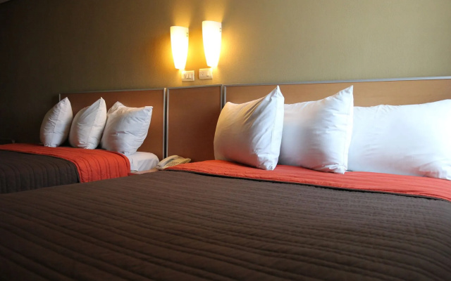 Kasa Hotel & Suites