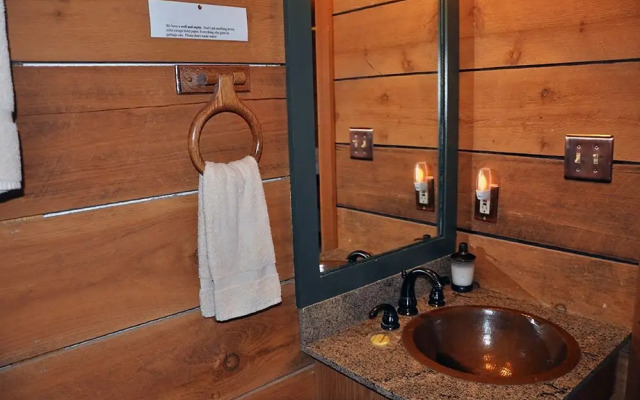 Mountain Bearadise 2 Bedrooms 2 Bathrooms Cabin