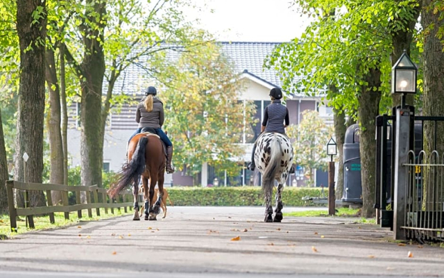 Human & Horse Hotel