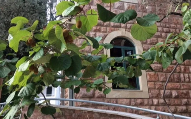 Levantin Inn 12 Room N12