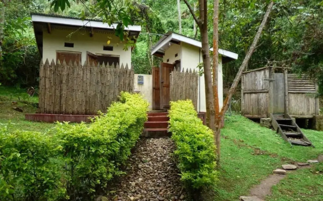 Nshongi Forest Camp