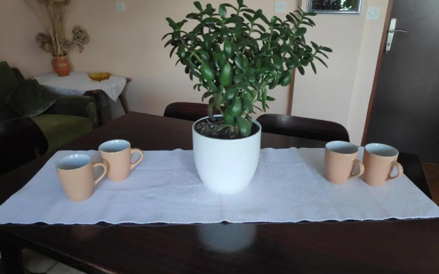 Apartment Viktorija