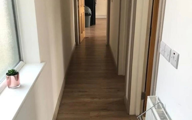 Contemporary Apartment