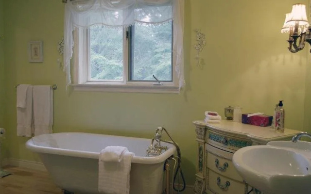 Blue Forest Lane Bed and Breakfast