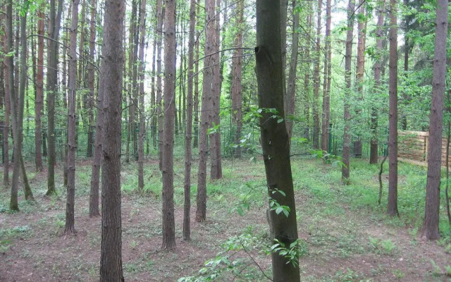 Дачный Хостел