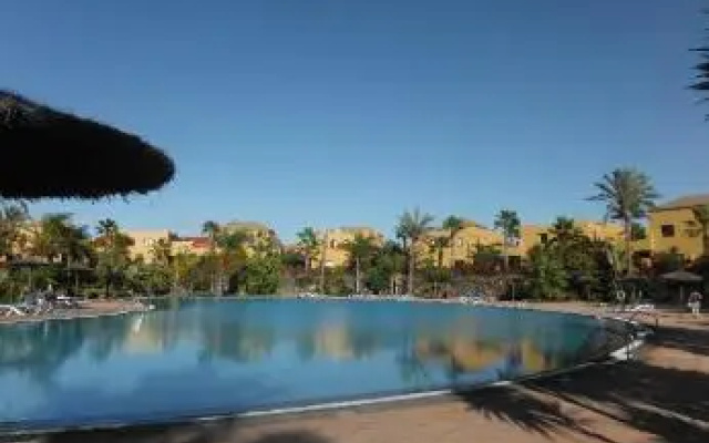Oasis vistamar2