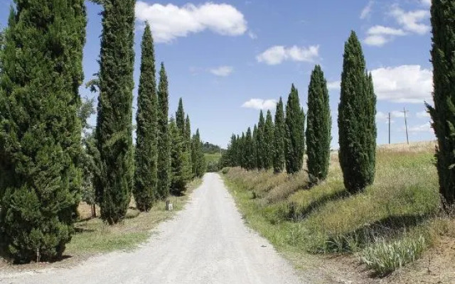 Agriturismo Il Casino