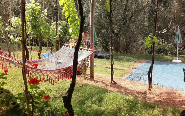 Caddelovi