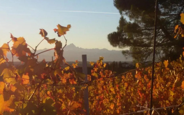 Cascina Torello