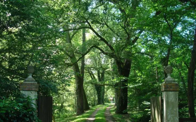 LAirial aux Châtaignes