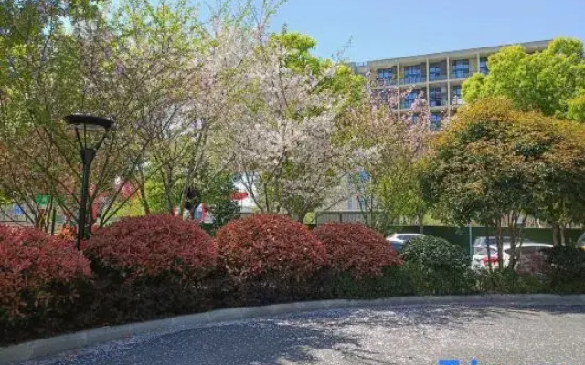 Sky City Boutique Apartments