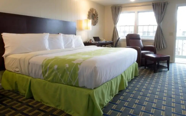 Freebird Motor Lodge by Reverie Boutique Collection