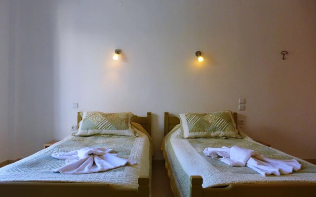 Lion-Suites