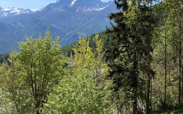 Appartement Pra-Loup, 1 pièce, 6 personnes - FR-1-165A-5