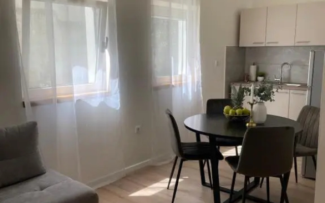 Apartments Antini