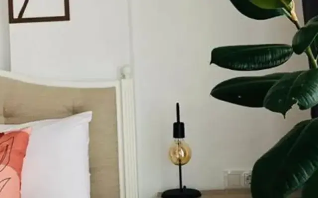 Salvia Butik Sogut
