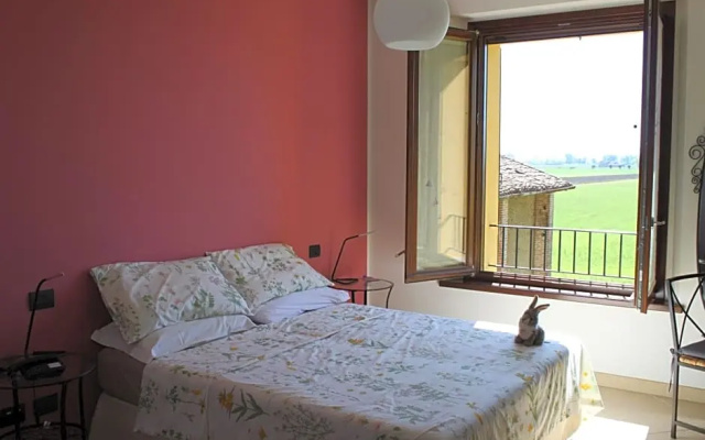La casa dei gatti