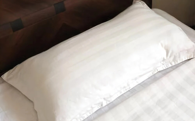 Kerry Hotel (Jinan Daming Lake Baotu Spring Branch)
