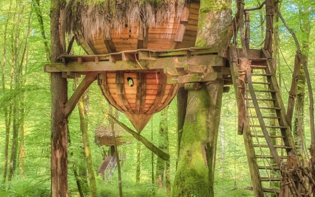 L'Arbre à Cabane