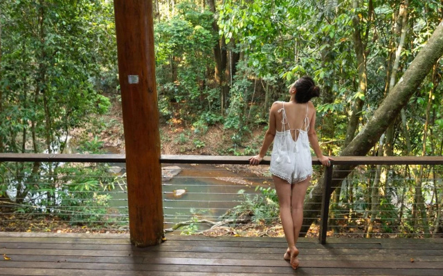 The Canopy Rainforest Treehouses and Wildlife Sanctuary