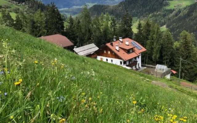 Ringgelinhof Onach