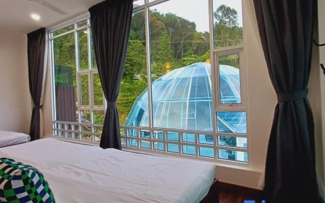 Sling & Stone Mountain Suites
