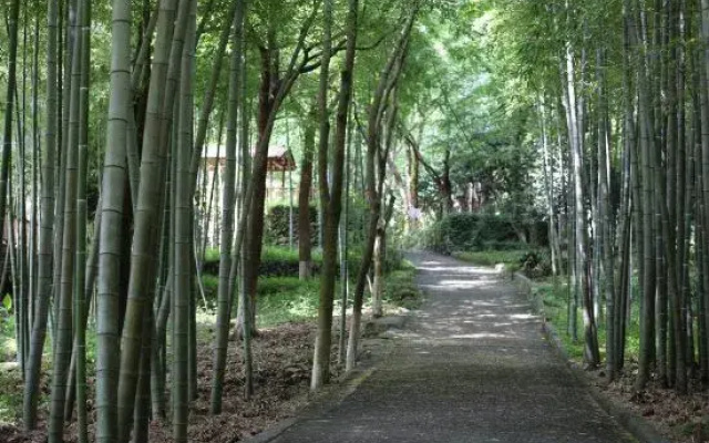Sheyu Guesthouse