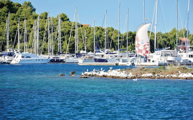 Nice Home in Razanj With Wifi and 2 Bedrooms
