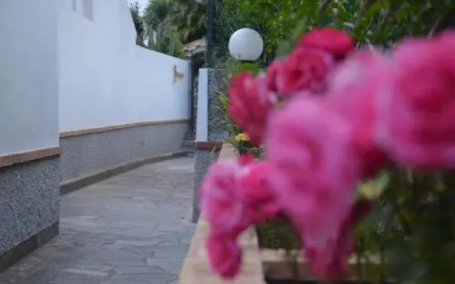 Hotel Guarracino