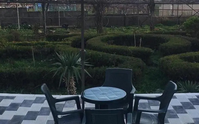 Oasis